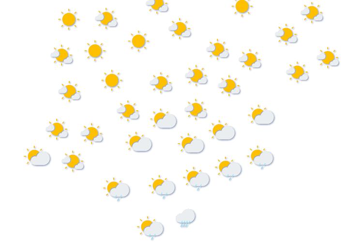 Forecast