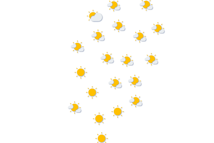 Forecast
