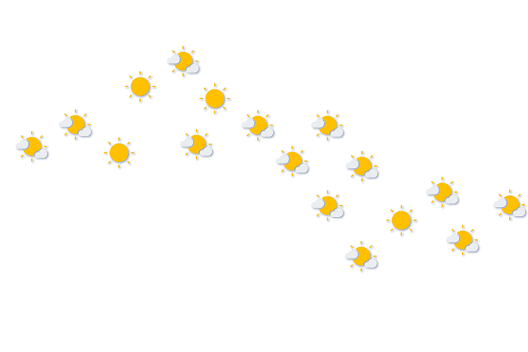 Forecast