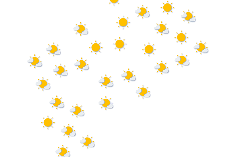 Forecast