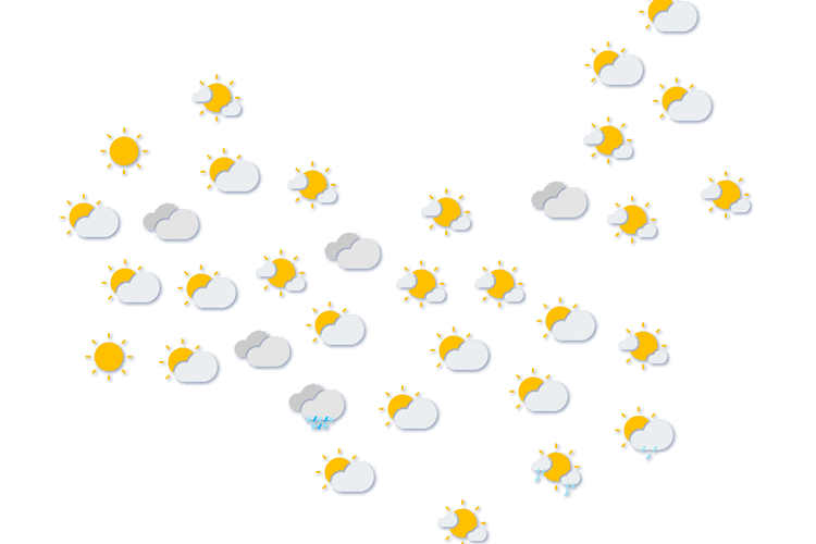 Forecast