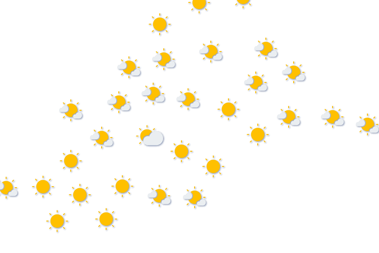 Forecast