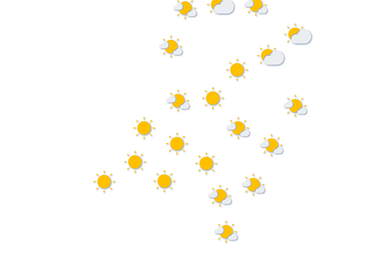 Forecast