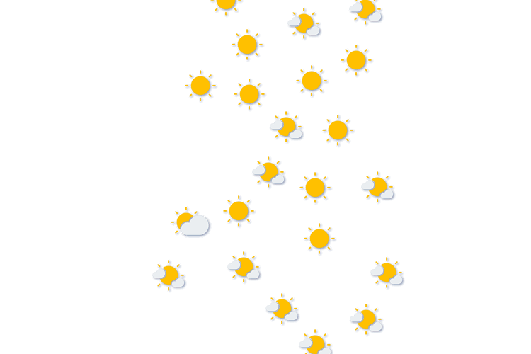 Forecast