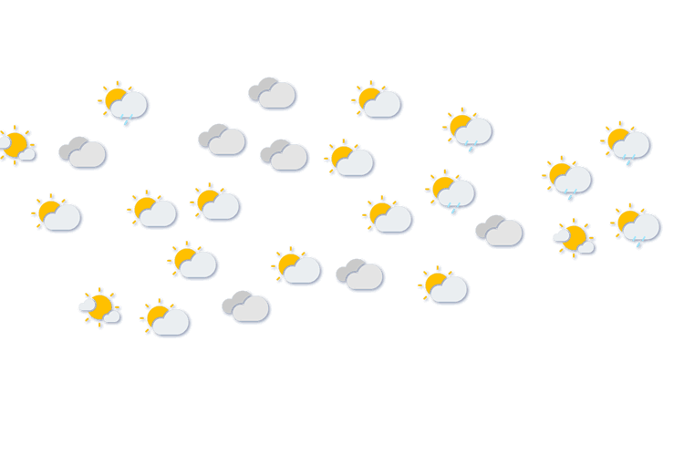 Forecast