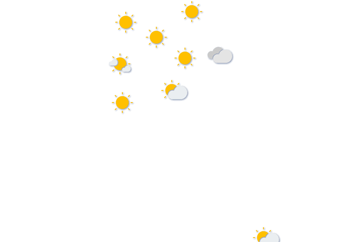 Forecast