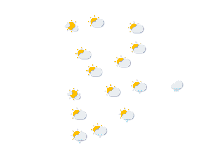 Forecast