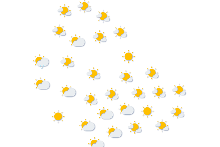 Forecast