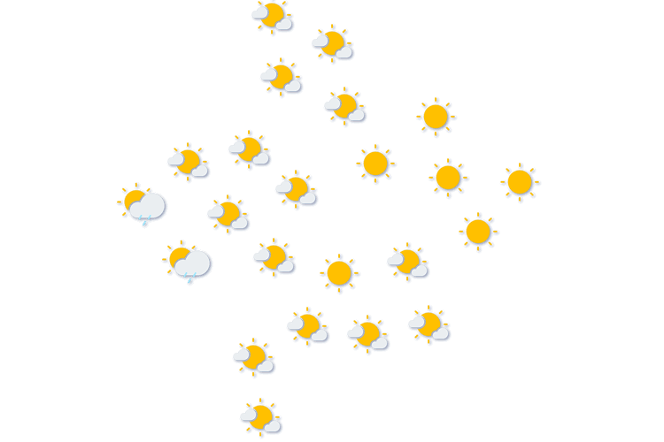 Forecast