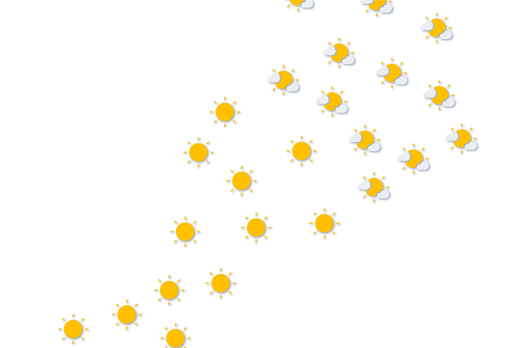 Forecast