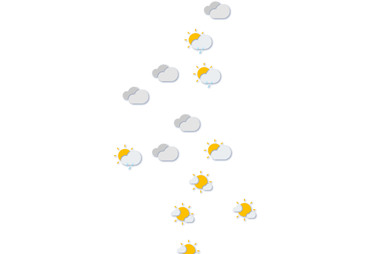 Forecast