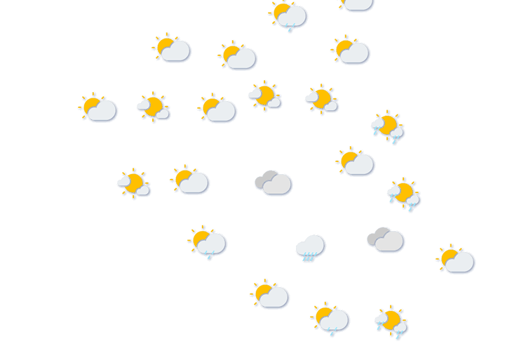 Forecast