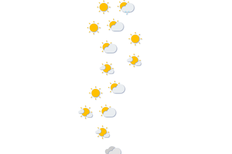 Forecast
