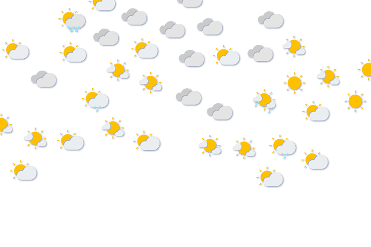 Forecast