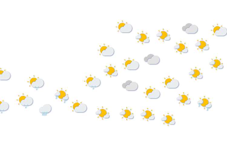 Forecast