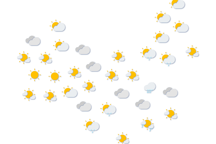Forecast