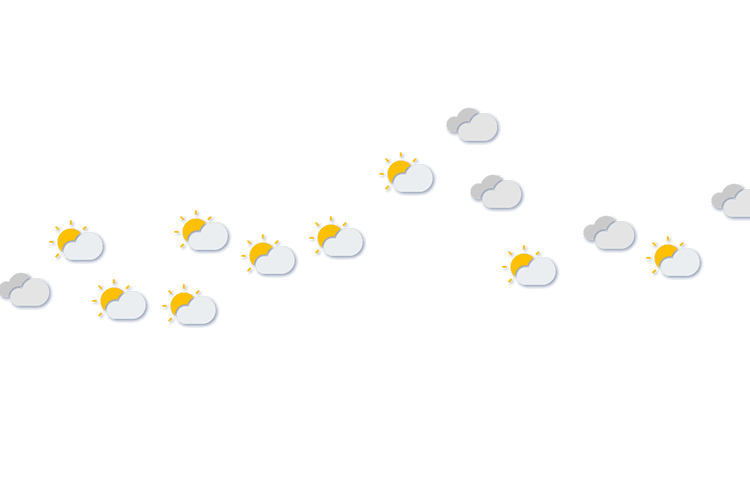 Forecast