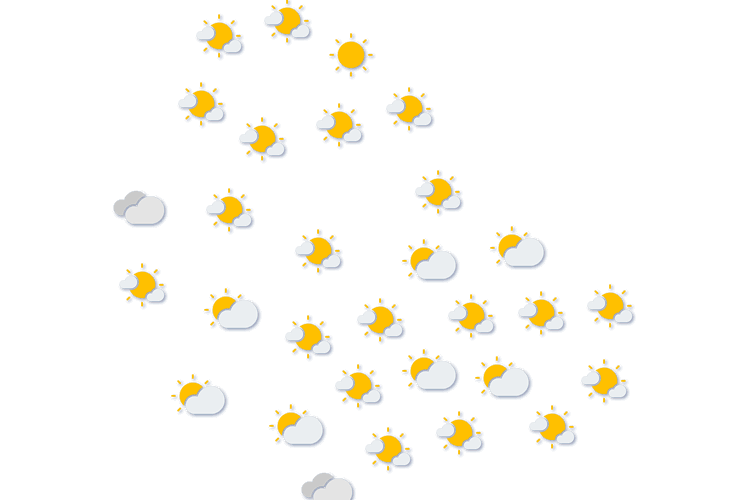 Forecast