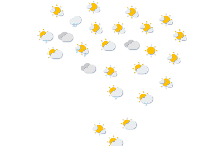 Forecast