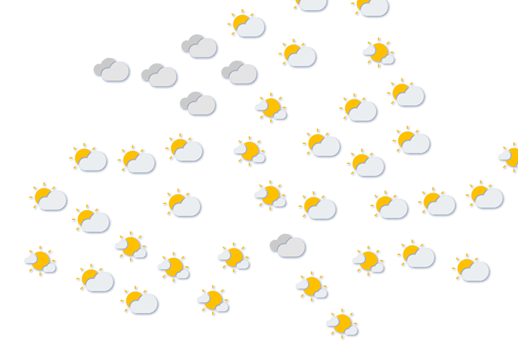 Forecast