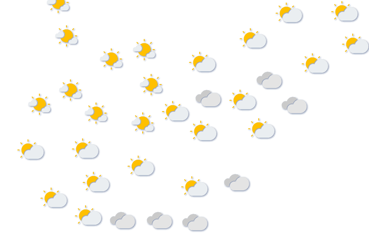 Forecast