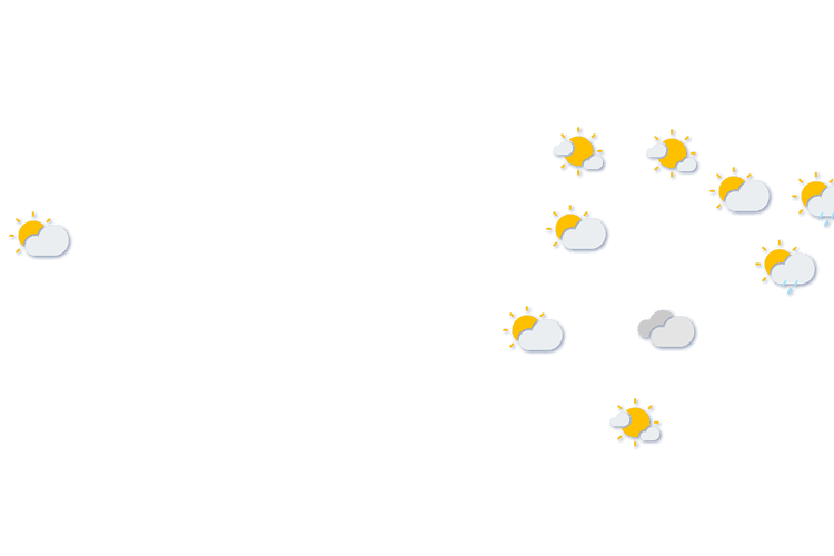 Forecast