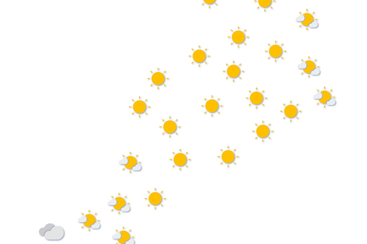 Forecast