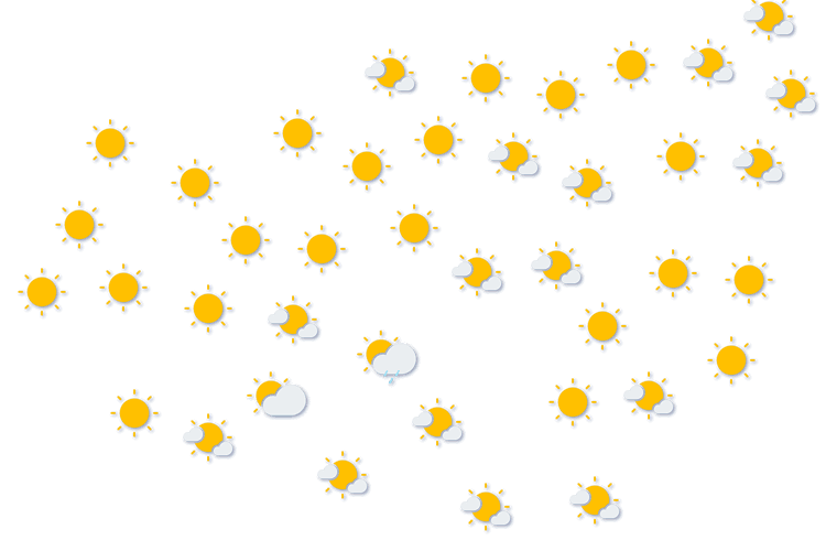 Forecast