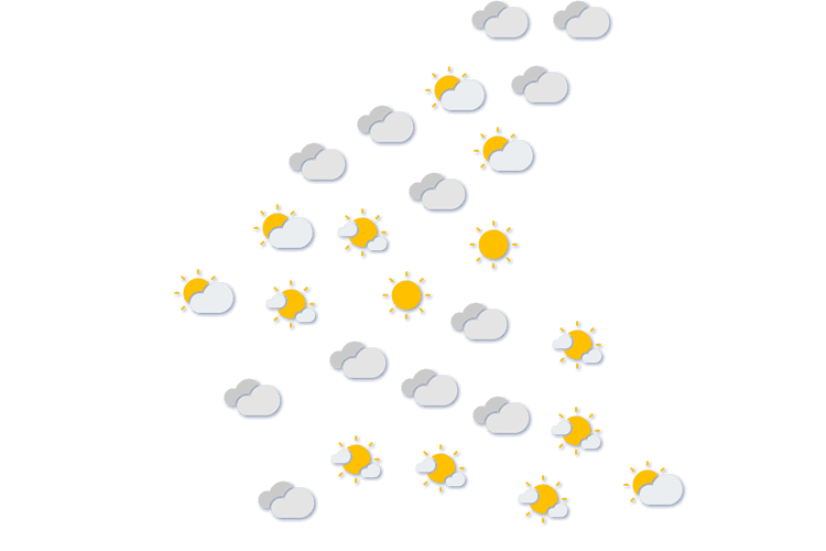 Forecast