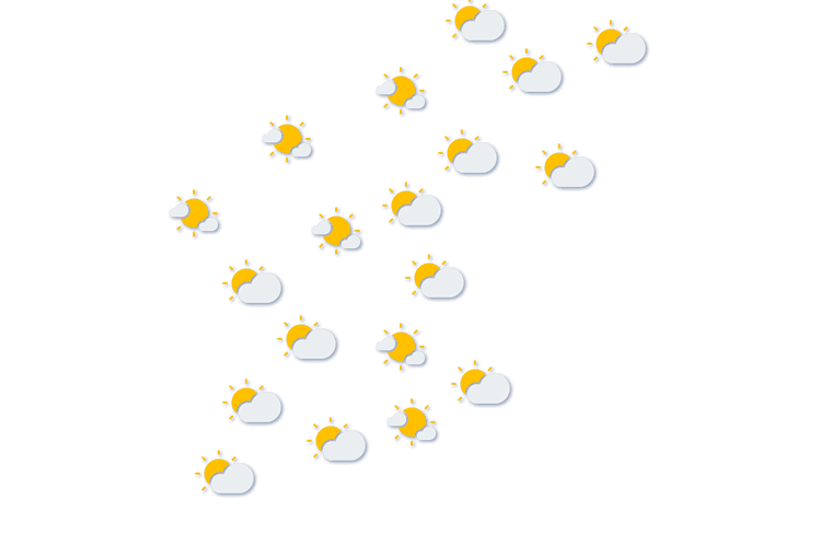 Forecast