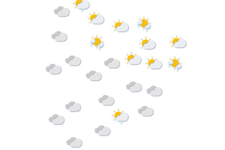 Forecast