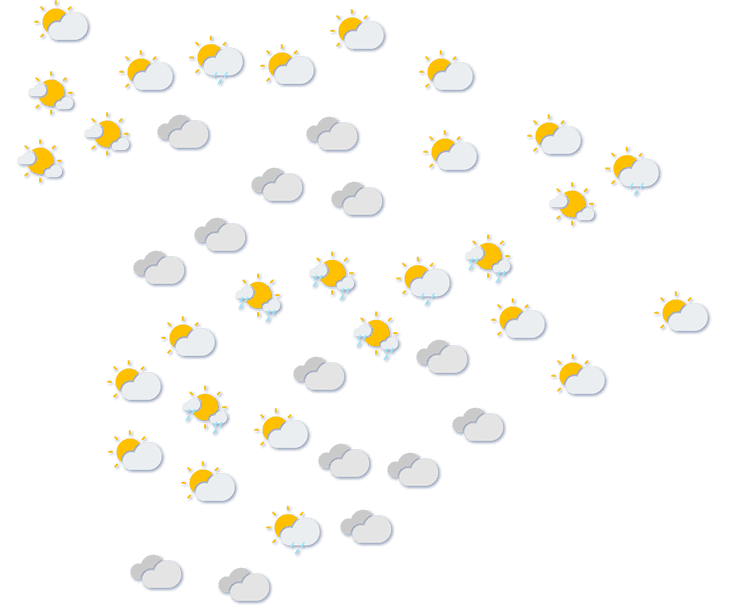 Forecast