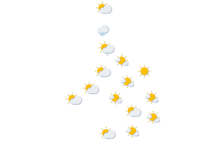 Forecast