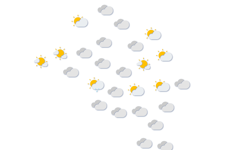 Forecast