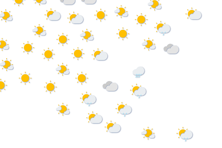 Forecast