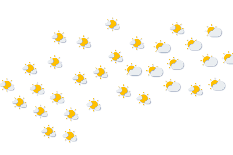 Forecast