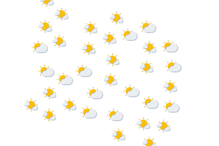 Forecast