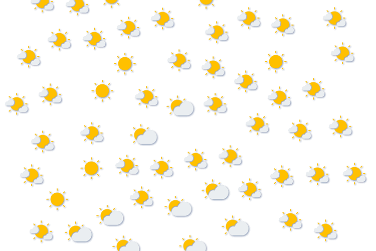 Forecast