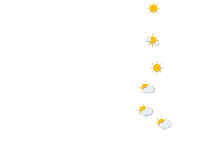Forecast
