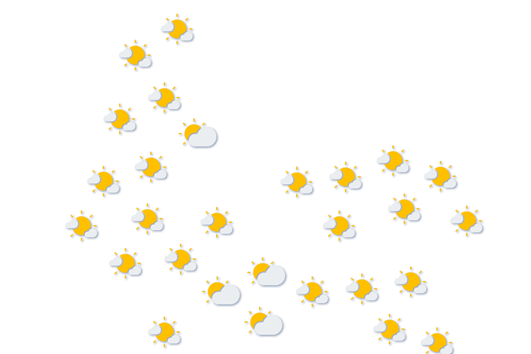 Forecast