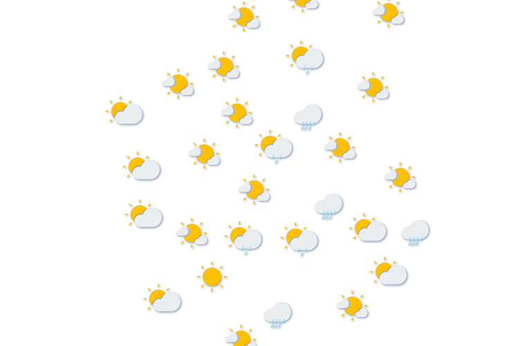 Forecast
