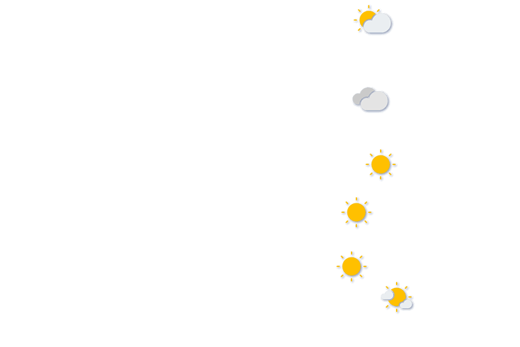 Forecast