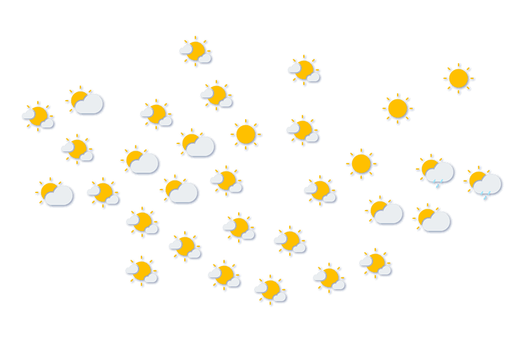 Forecast