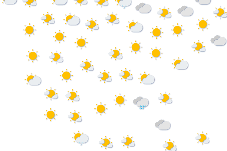 Forecast