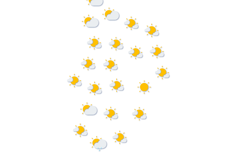 Forecast