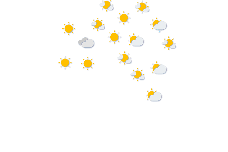 Forecast