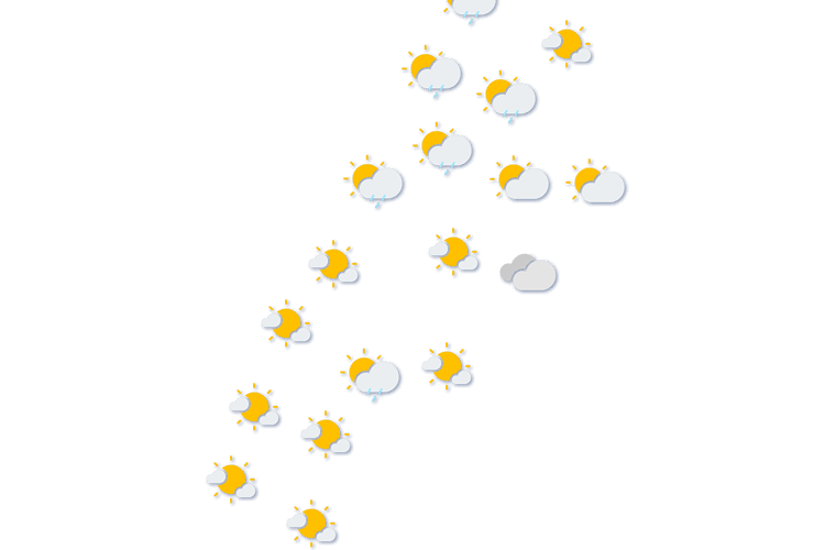 Forecast
