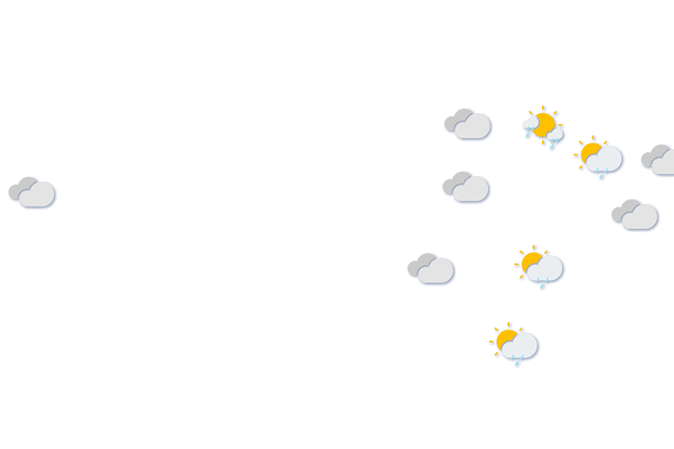 Forecast