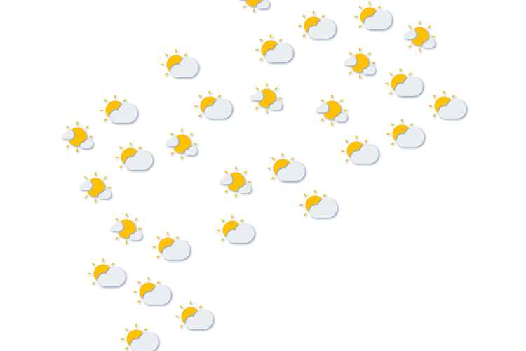 Forecast
