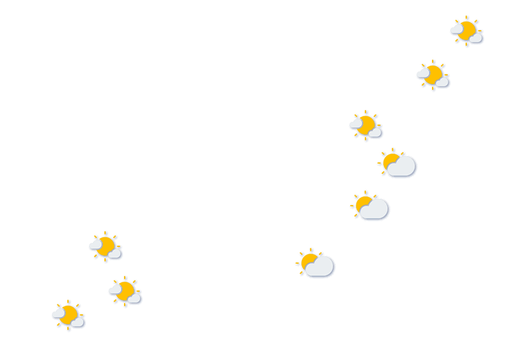 Forecast